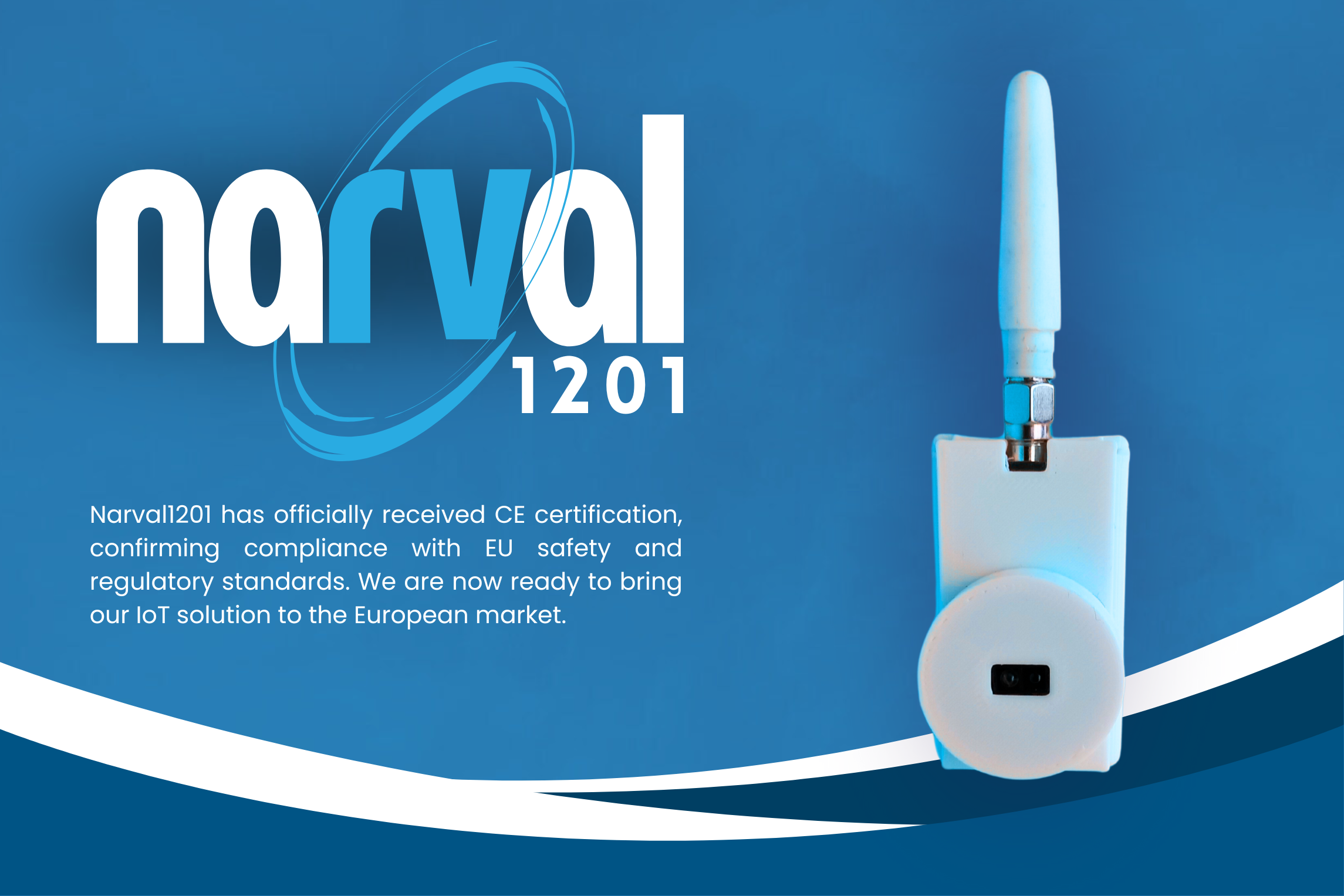 Narval banner