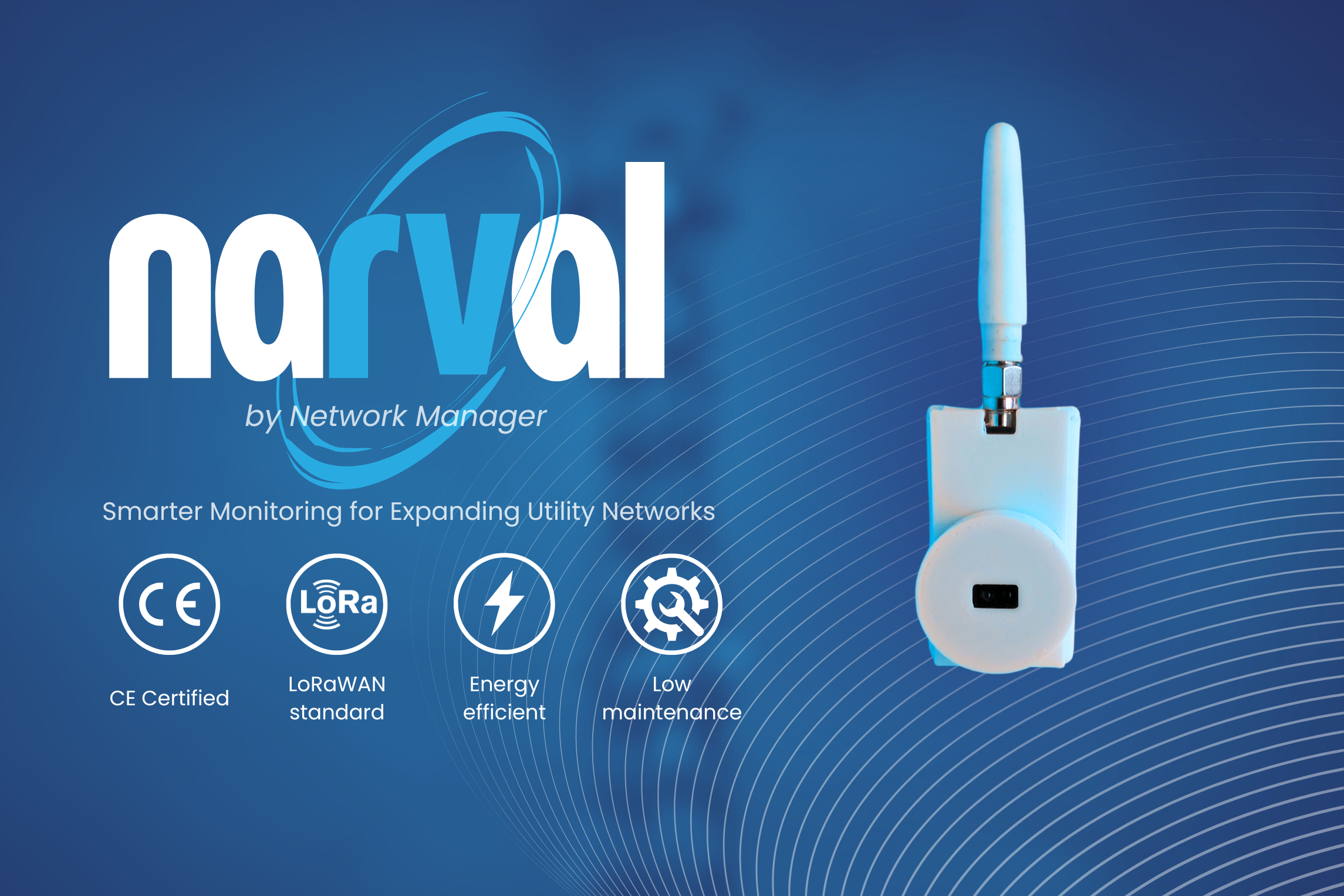 Narval banner